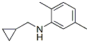 Benzenamine, N-(cyclopropylmethyl)-2,5-dimethyl- (9CI) CAS#: 356539-50-9