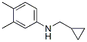 Benzenamine, N-(cyclopropylmethyl)-3,4-dimethyl- (9CI) CAS#: 356539-38-3