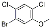 Benzene, 1-broMo-2,4-dichloro-5-Methoxy- CAS#: 174913-22-5
