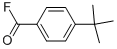 Benzoyl fluoride, 4-(1,1-dimethylethyl)- (9CI) CAS#: 174579-99-8