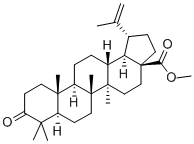 Betulonicacidmethylester CAS#: 4356-31-4