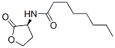 C8-HSL CAS#: 147852-84-4