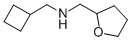 CYCLOBUTYLMETHYL-(TETRAHYDRO-FURAN-2-YLMETHYL)-AMINE CAS#: 356539-88-3