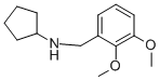CYCLOPENTYL-(2,3-DIMETHOXY-BENZYL)-AMINE CAS#: 356094-55-8