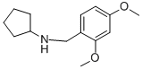 CYCLOPENTYL-(2,4-DIMETHOXY-BENZYL)-AMINE CAS#: 356092-74-5