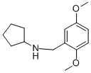 CYCLOPENTYL-(2,5-DIMETHOXY-BENZYL)-AMINE CAS#: 355814-38-9