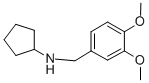 CYCLOPENTYL-(3,4-DIMETHOXY-BENZYL)-AMINE CAS#: 356091-42-4