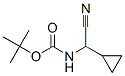 Carbamic acid, (cyanocyclopropylmethyl)-, 1,1-dimethylethyl ester (9CI) CAS#: 149357-91-5