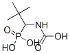 Carbamic acid, (phosphonomethyl)-, C-(1,1-dimethylethyl) ester (9CI) CAS#: 148797-31-3