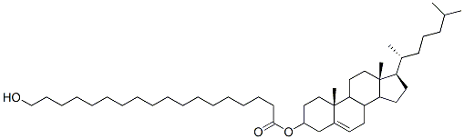 Cholesteryl hydroxystearate CAS#: 160525-18-8