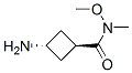 Cyclobutanecarboxamide, 3-amino-N-methoxy-N-methyl-, trans- (9CI) CAS#: 171549-88-5