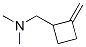 Cyclobutanemethanamine, N,N-dimethyl-2-methylene- (9CI) CAS#: 342614-33-9