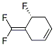 Cyclohexene, 4-(difluoromethylene)-5-fluoro-, (R)- (9CI) CAS#: 169899-24-5