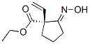 Cyclopentanecarboxylic acid, 1-ethenyl-2-(hydroxyimino)-, ethyl ester, (1R)- CAS#: 335260-40-7