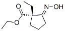 Cyclopentanecarboxylic acid, 1-ethyl-2-(hydroxyimino)-, ethyl ester, (1S)- (9CI) CAS#: 335260-38-3