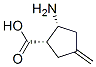 Cyclopentanecarboxylic acid, 2-amino-4-methylene-, (1S,2R)- (9CI) CAS#: 156292-48-7