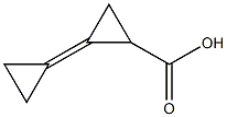 Cyclopropanecarboxylic acid, 2-cyclopropylidene- CAS#: 151964-06-6