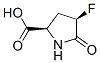 D-Proline, 4-fluoro-5-oxo-, (4R)- (9CI) CAS#: 160705-72-6