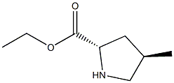D-Proline, 4-methyl-, ethyl ester, (4S)-rel- (9CI) CAS#: 165273-06-3