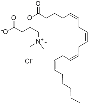 DL-ARACHIDOYL CARNITINE CHLORIDE CAS#: 149116-07-4