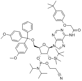 DMT-2'O-TBDMS-RA(TAC) AMIDITE 0.5G  AB CAS#: 149989-64-0