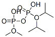 Diphosphoric acid P1,P1-dimethyl P2,P2-bis(1-methylethyl) ester CAS#: 40731-72-4