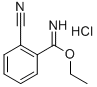 ETHYL 2-CYANOBENZIMIDATE HYDROCHLORIDE CAS#: 4278-06-2