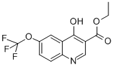 ETHYL 4-HYDROXY-6-(TRIFLUOROMETHOXY)QUINOLINE-3-CARBOXYLATE CAS#: 175203-85-7