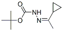 Hydrazinecarboxylic acid, (1-cyclopropylethylidene)-, 1,1-dimethylethyl ester CAS#: 325857-26-9