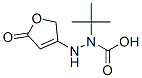Hydrazinecarboxylic acid, 2-(2,5-dihydro-5-oxo-3-furanyl)-, 1,1-dimethylethyl CAS#: 354129-82-1