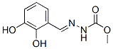 Hydrazinecarboxylic acid, [(2,3-dihydroxyphenyl)methylene]-, methyl ester (9CI) CAS#: 391254-08-3