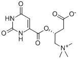 L-Carnitine orotate CAS#: 160468-17-7