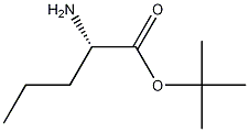 L-Norvaline t-butyl ester CAS#: 158741-16-3