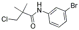 N-(3-BROMOPHENYL)-3-CHLORO-2,2-DIMETHYLPROPANAMIDE CAS#: 338392-03-3