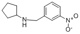 N-(3-nitrobenzyl)cyclopentanamine CAS#: 355382-02-4