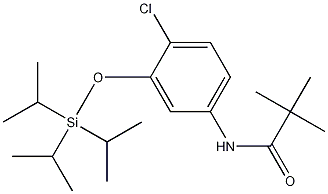 N-[4-Chloro-3-(triisopropylsilyloxy)phenyl]-2,2-dimethylpropanamide CAS#: 342621-20-9