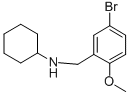 N-(5-BROMO-2-METHOXYBENZYL)CYCLOHEXANAMINE CAS#: 353779-26-7