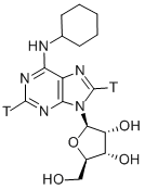 N 6-CYCLOHEXYLADENOSINE-[2,8-3H] CAS#: 151362-69-5