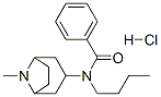 N-butyl-N-(8-methyl-8-azabicyclo[3.2.1]oct-3-yl)benzamide hydrochlorid e CAS#: 171261-26-0