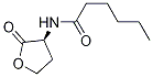 N-hexanoyl-L-homoserine lactone CAS#: 147852-83-3