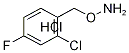 O-(2-Chloro-4-fluorobenzyl)hydroxylaMine hydrochloride CAS#: 317821-68-4