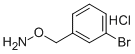 O-(3-BROMOBENZYL)HYDROXYLAMINE HYDROCHLORIDE CAS#: 159023-41-3