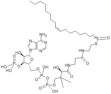 OLEOYL COENZYME A, [OLEOYL-1-14C]- CAS#: 4767-16-2