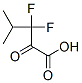 Pentanoic acid, 3,3-difluoro-4-methyl-2-oxo- CAS#: 165544-39-8