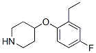 Piperidine, 4-(2-ethyl-4-fluorophenoxy)- (9CI) CAS#: 367501-29-9