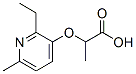Propanoic acid, 2-[(2-ethyl-6-methyl-3-pyridinyl)oxy]- (9CI) CAS#: 313370-20-6