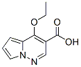 Pyrrolo[1,2-b]pyridazine-3-carboxylic acid, 4-ethoxy- (9CI) CAS#: 156335-40-9