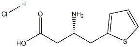 (S)-3-AMino-4-(2-thienyl)-butyric acid-HCl CAS#: 332061-90-2