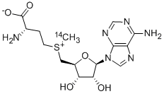 S-ADENOSYL-L-METHIONINE, [METHYL-14C] CAS#: 4989-98-4