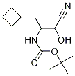 TERT-BUTYL 1-CYANO-3-CYCLOBUTYL-1-HYDROXYPROPAN-2-YLCARBAMATE CAS#: 394735-20-7